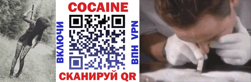 Купить закладки  Петрозаводск  Кокаин Эквадор 