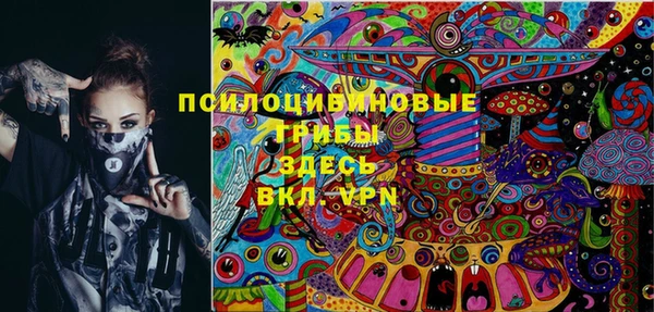 гидропоника Нязепетровск