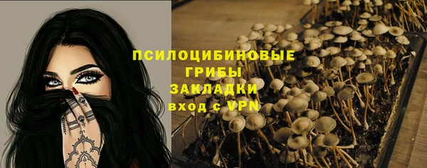 гидропоника Нязепетровск